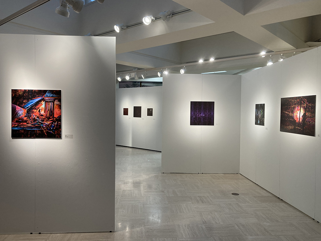 looking south from north end of the gallery